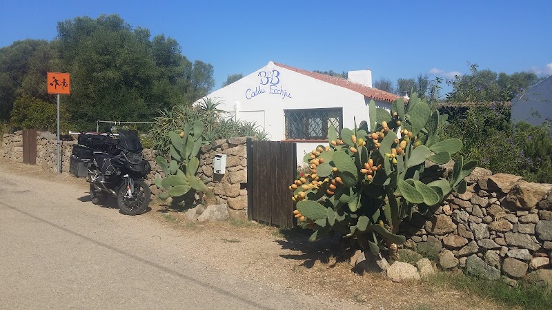 Immagine di Copertina