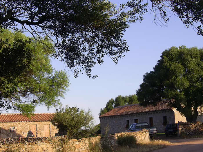 Immagine di Copertina