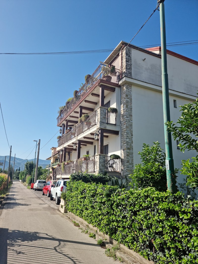 Immagine di Copertina