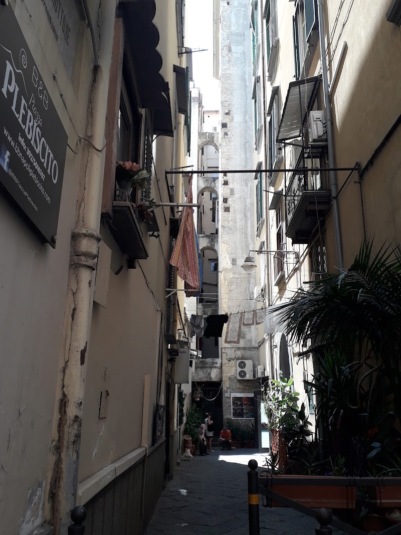 Immagine di Copertina