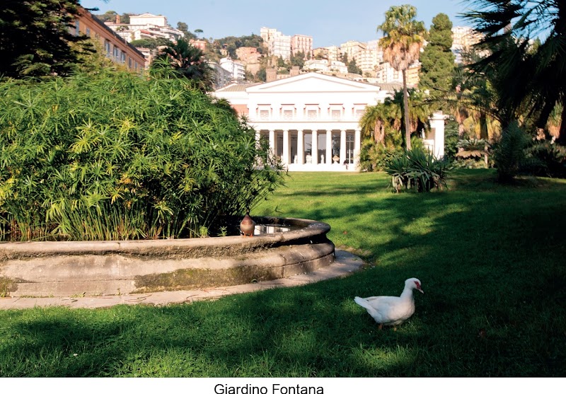 Immagine di Copertina