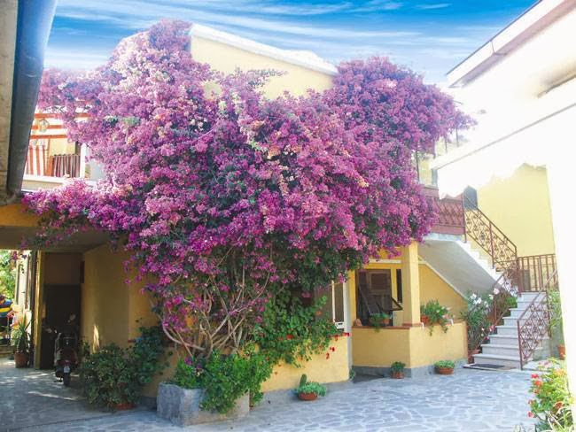 Albergo Bel Tramonto