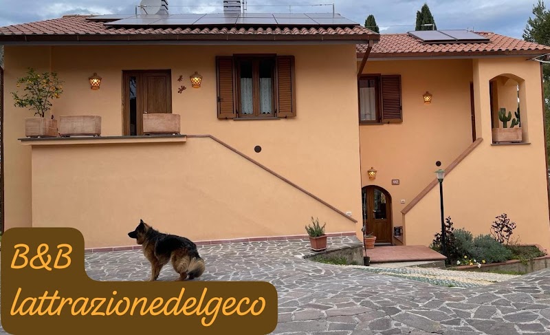 B&amp;B LATTRAZIONEDELGECO