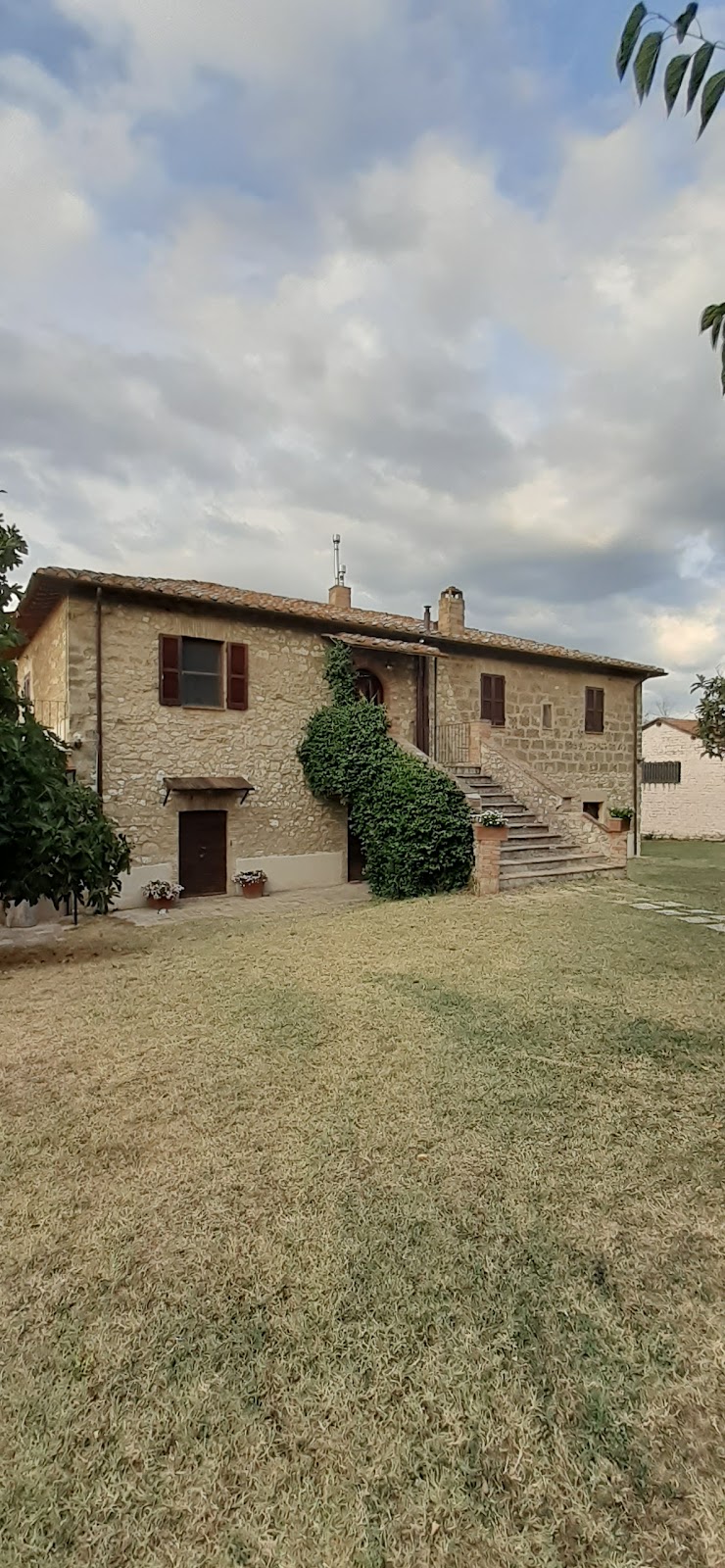 Immagine di Copertina