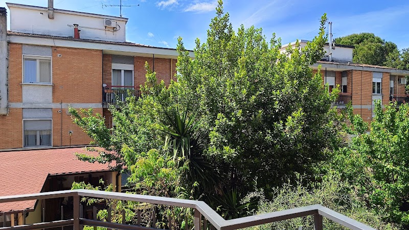 Immagine di Copertina