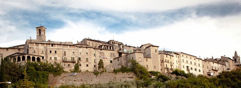 Immagine di Copertina