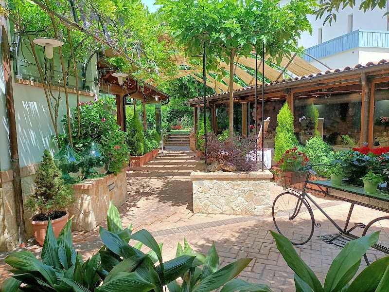 Immagine di Copertina