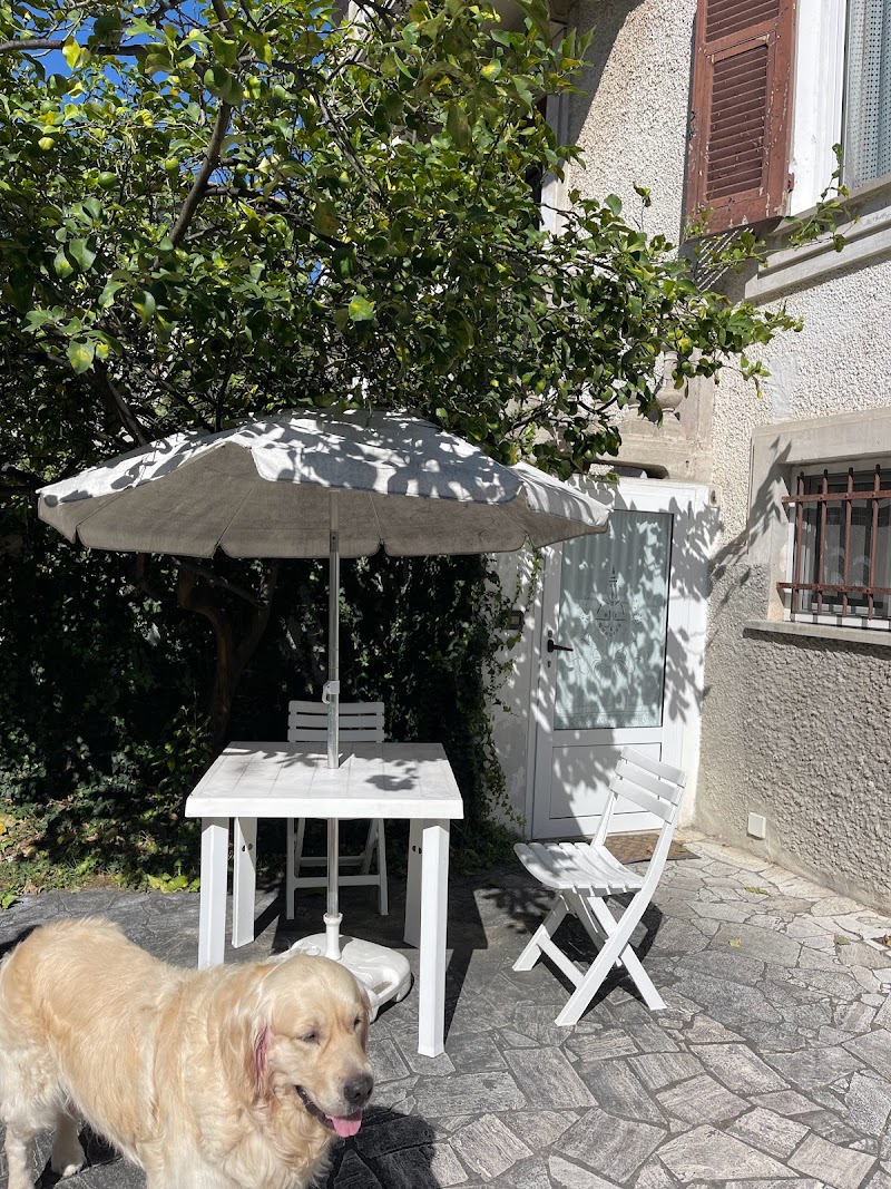 Immagine di Copertina