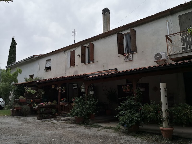 Immagine di Copertina