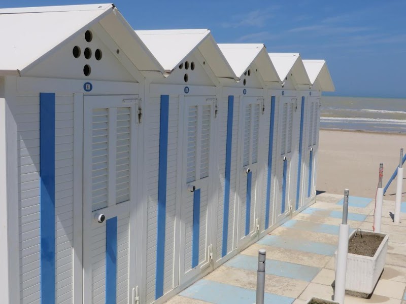 Immagine di Copertina