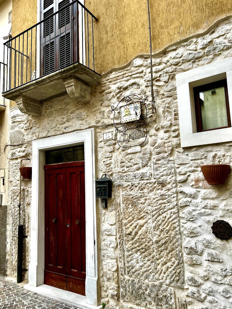 Immagine di Copertina