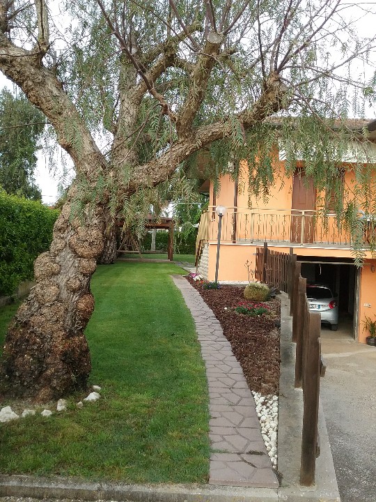 Il Giardino dei Semplici