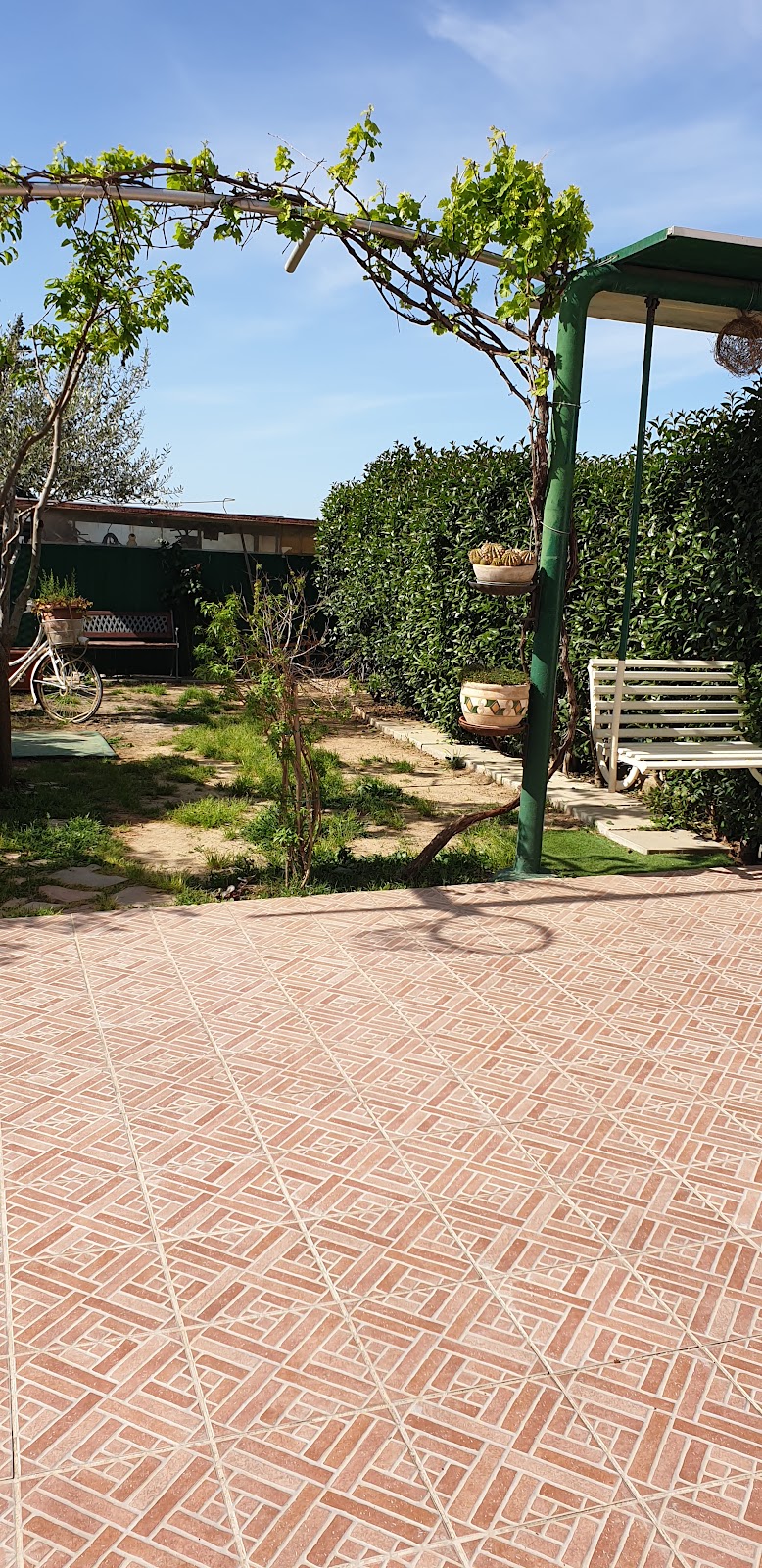 Immagine di Copertina