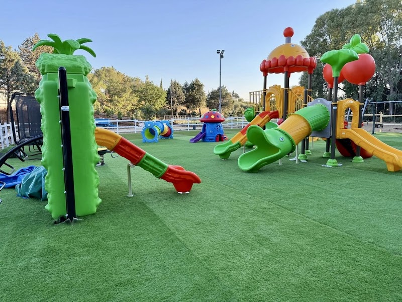 Immagine di Copertina