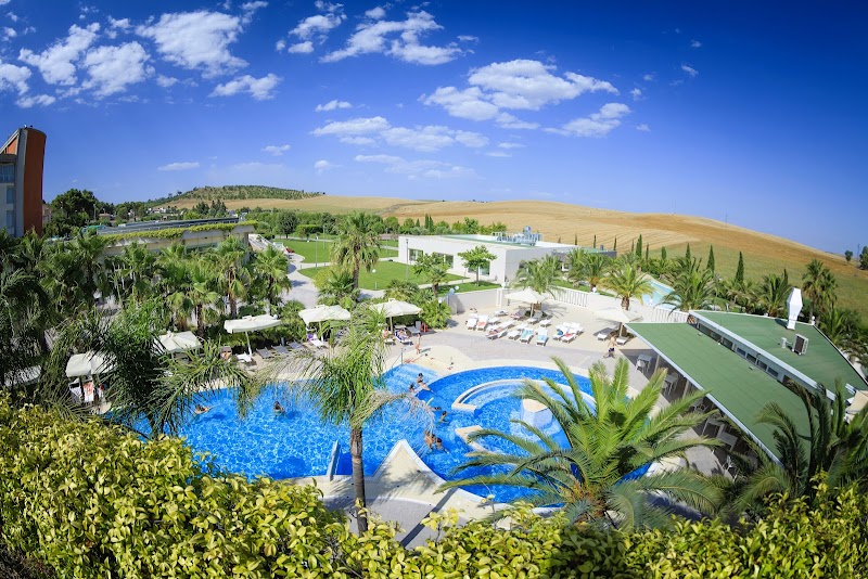 Immagine di Copertina