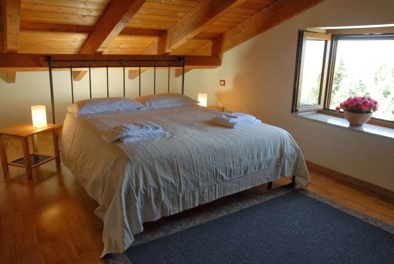 Immagine di Copertina