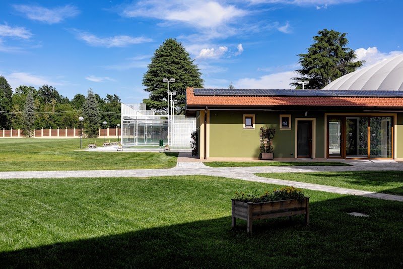 Immagine di Copertina