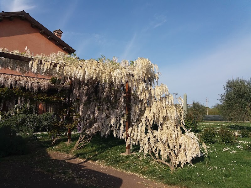 B&amp;B La Fornasaccia