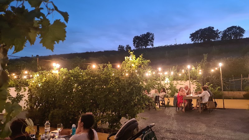 Immagine di Copertina