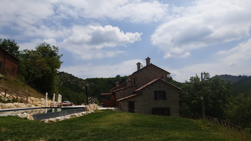 Immagine di Copertina