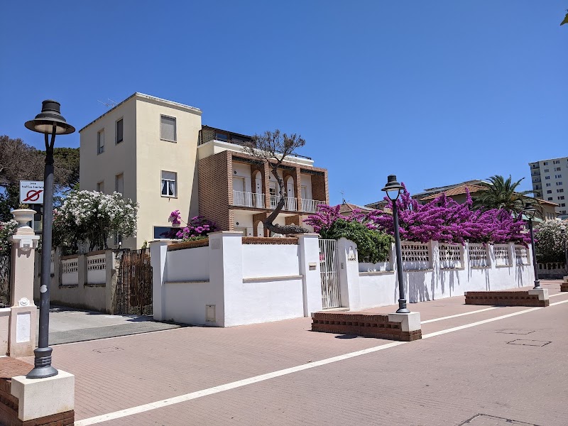 Immagine di Copertina