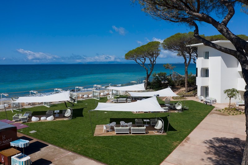 Immagine di Copertina