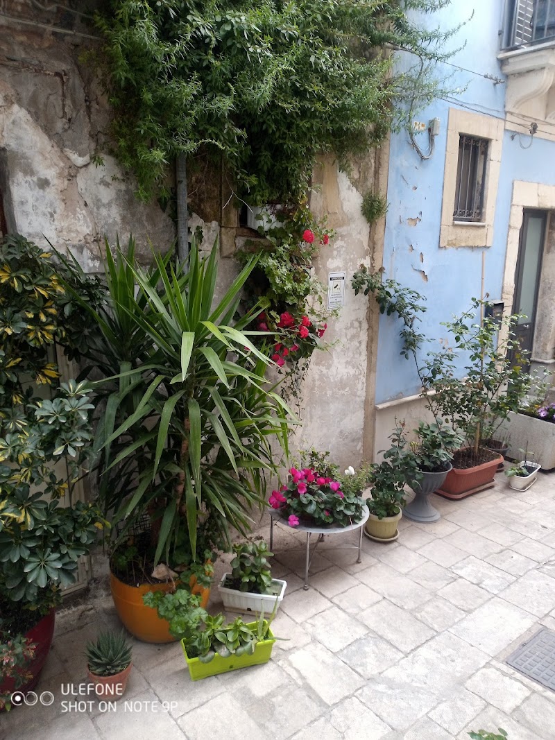 Immagine di Copertina