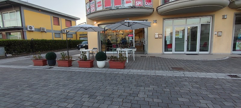 Pizzeria il Basilico