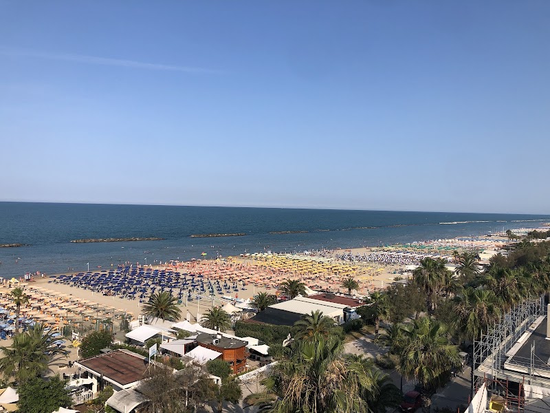 Immagine di Copertina