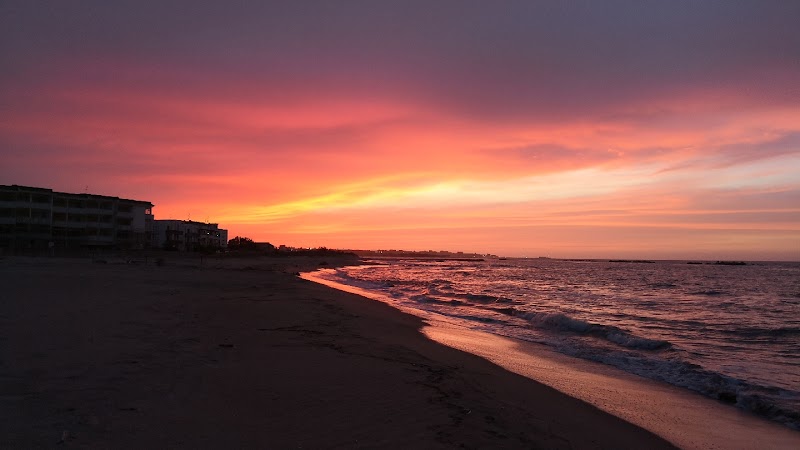 Immagine di Copertina