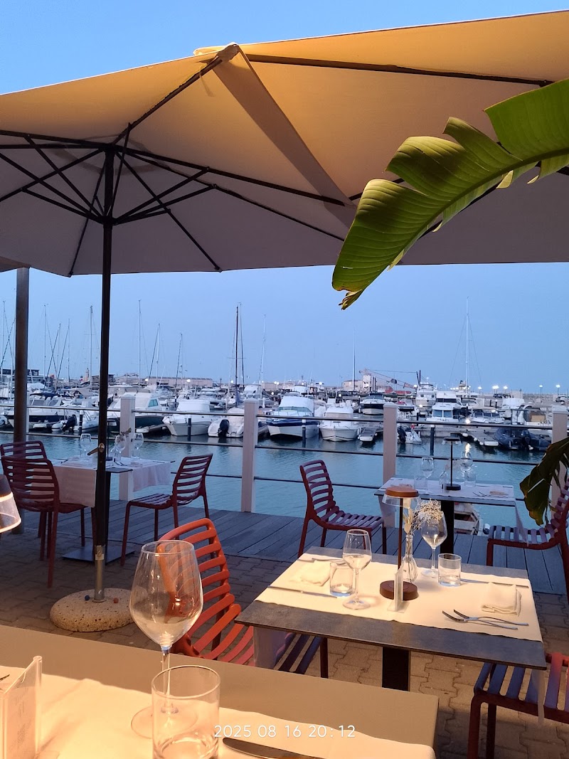 Immagine di Copertina