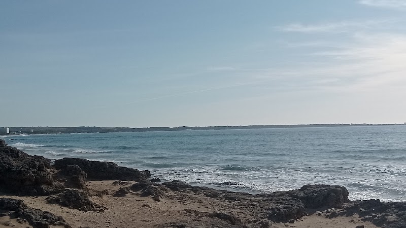 Immagine di Copertina