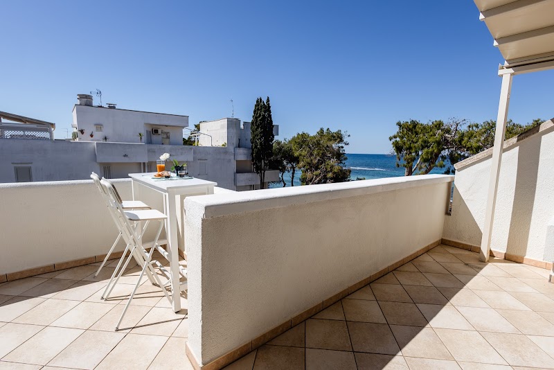 Immagine di Copertina