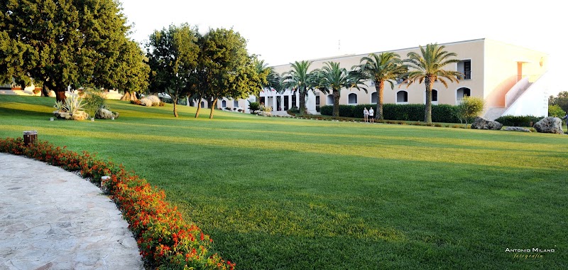 Immagine di Copertina