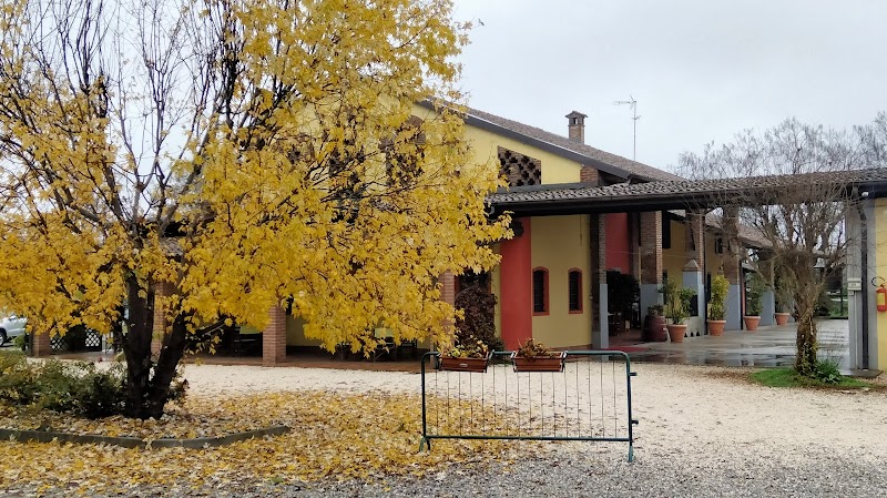 Immagine di Copertina