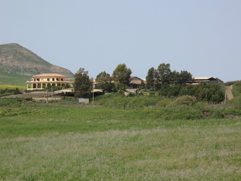 Immagine di Copertina