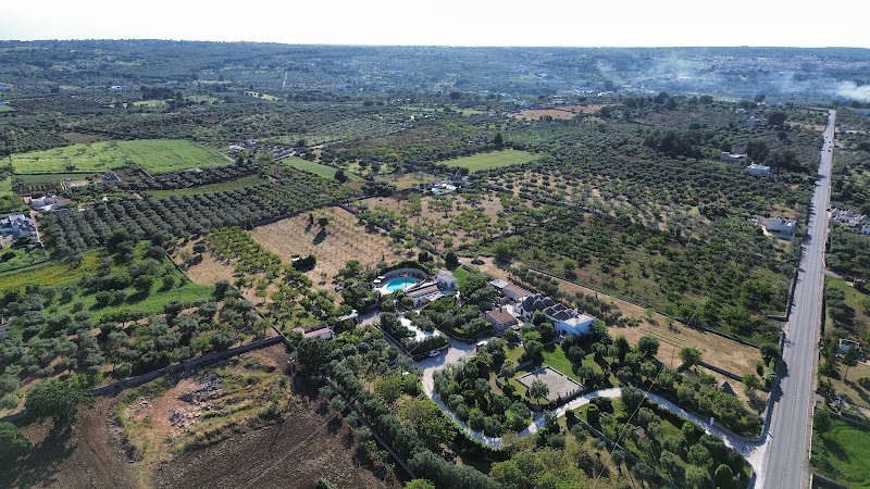 Immagine di Copertina