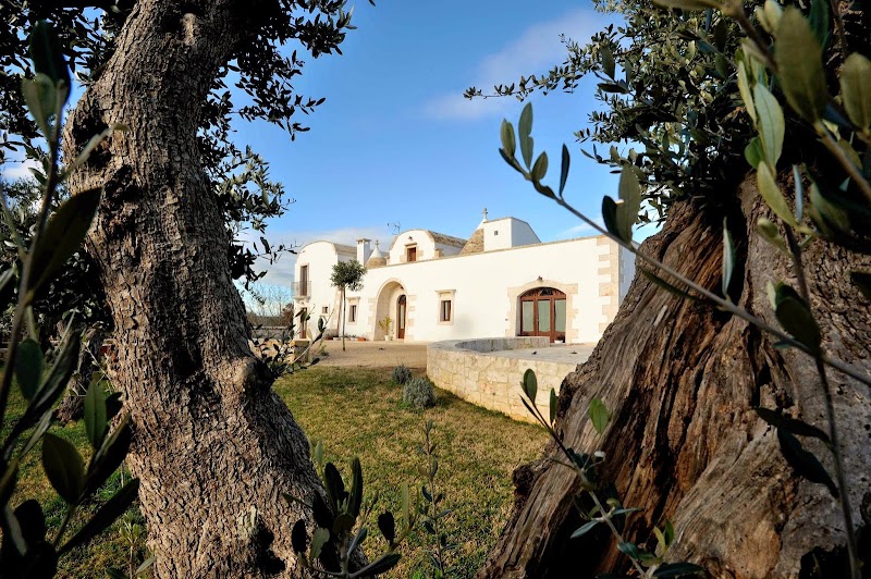 Immagine di Copertina