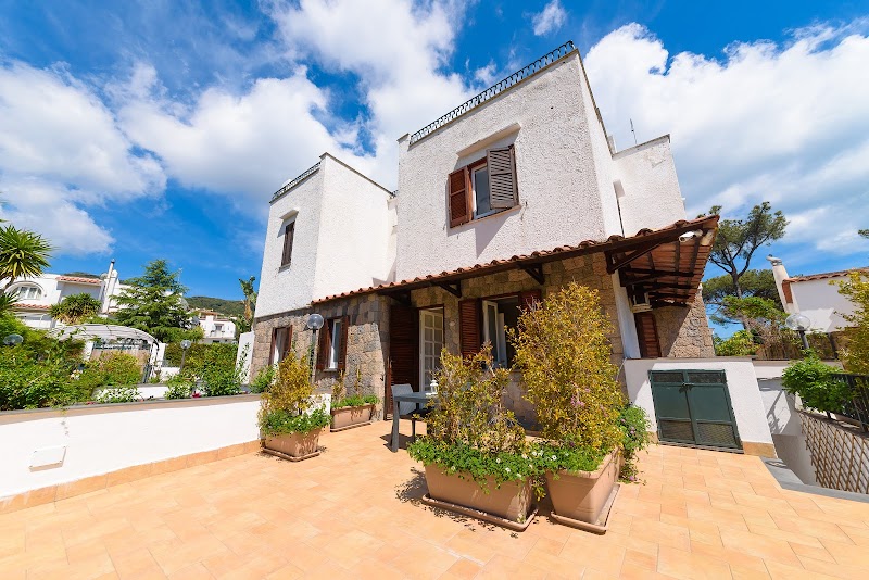 Immagine di Copertina