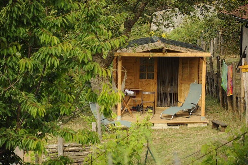 Immagine di Copertina