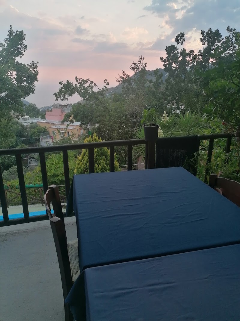 Immagine di Copertina