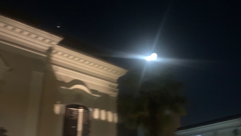 Immagine di Copertina