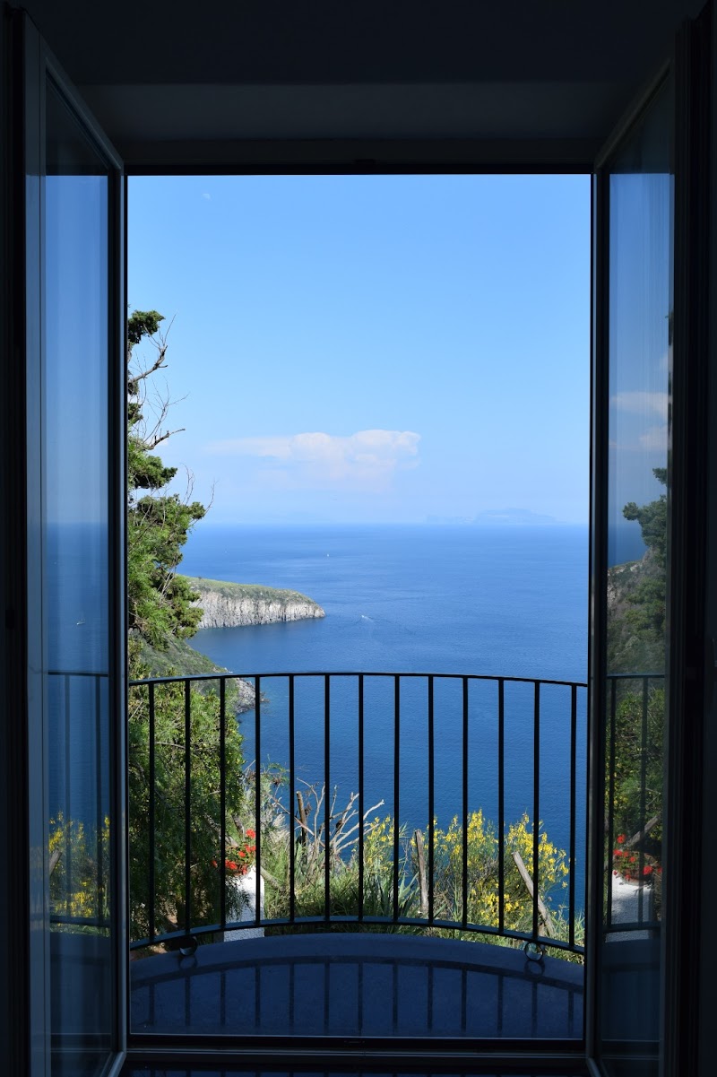 Il Giardino Selvatico di Succellario