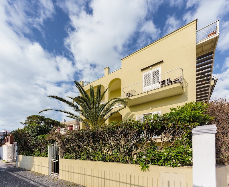 Immagine di Copertina