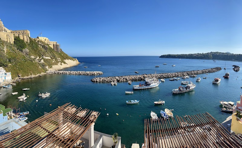 Immagine di Copertina