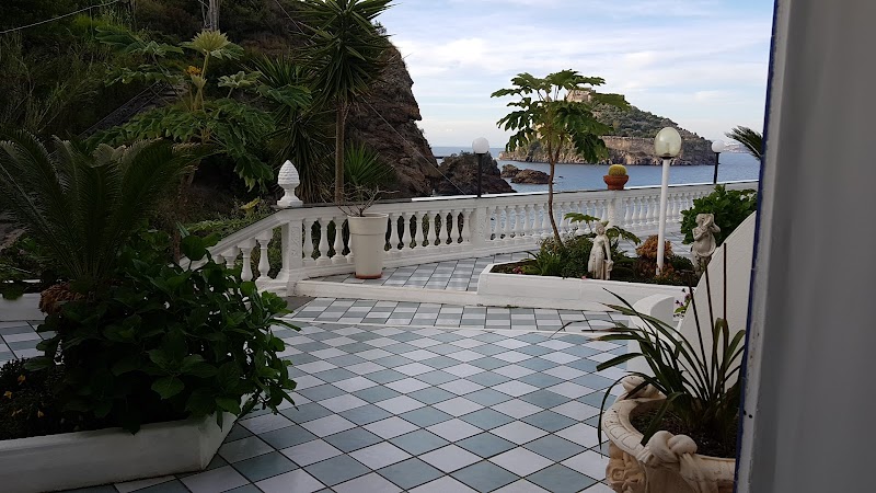 Immagine di Copertina