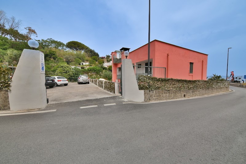 Immagine di Copertina