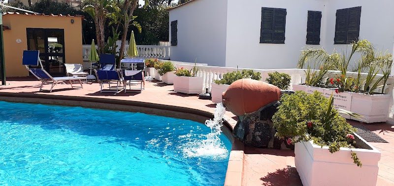 Immagine di Copertina