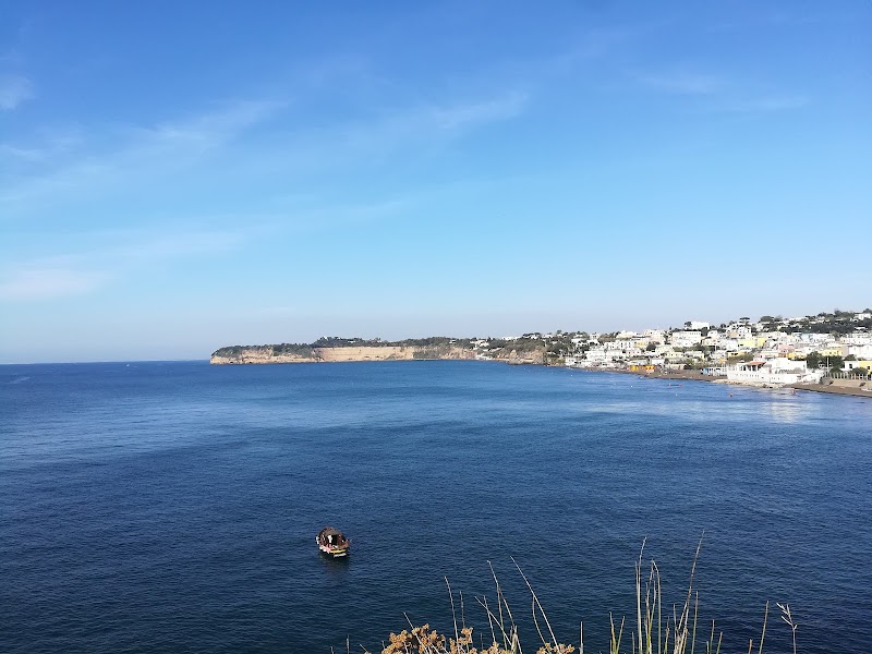 Immagine di Copertina