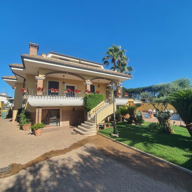 Immagine di Copertina